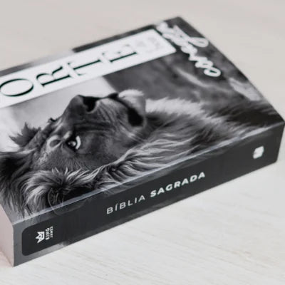 BIBLIA SE FORTE E DE BOA CORAGEM - KING JAMES