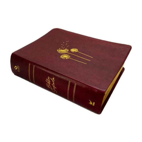 BIBLIA SOPRO DIVINO- VIVIANE MARTINELLO
