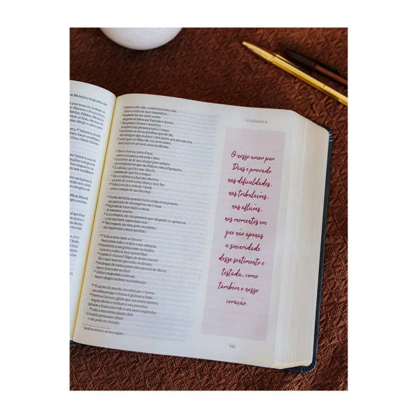 BIBLIA PARA UM TEMPO COMO ESTE - VIVIANE MARTINELLO