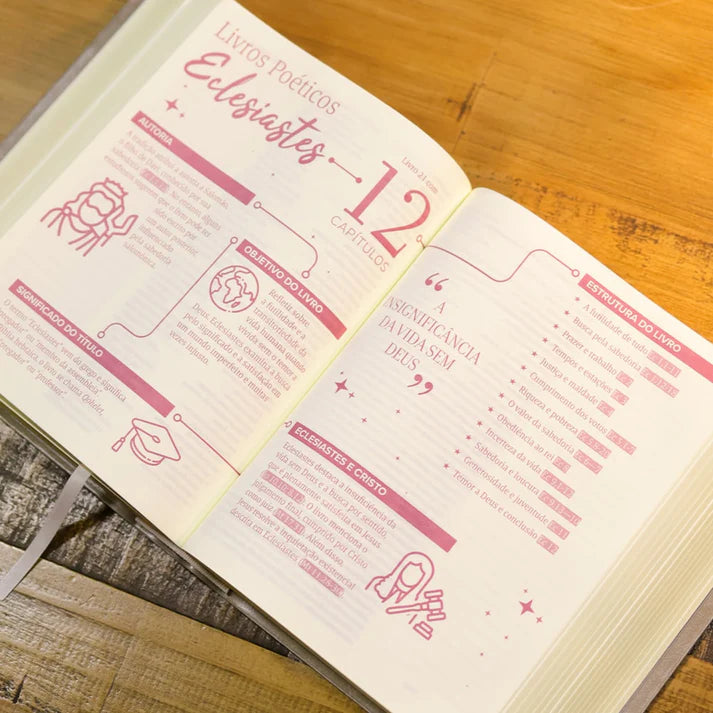 BÍBLIA COM ESPAÇO PARA ANOTAÇÕES | VIVIANE MARTINELLO | NAA | CAPA ACINZENTADA