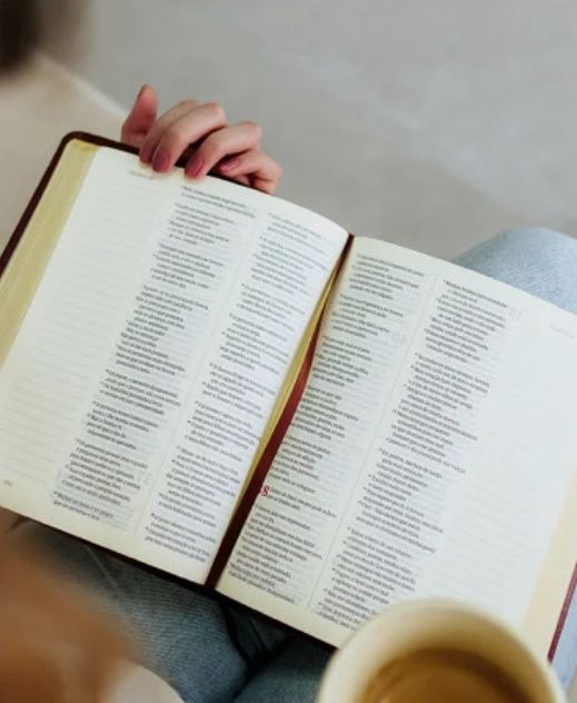 BÍBLIA COM ESPAÇO PARA ANOTAÇÕES | VIVIANE MARTINELLO | NAA | CAPA VINHO