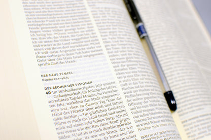 DIE BIBEL- MARTIN LUTHERS 2017 ED