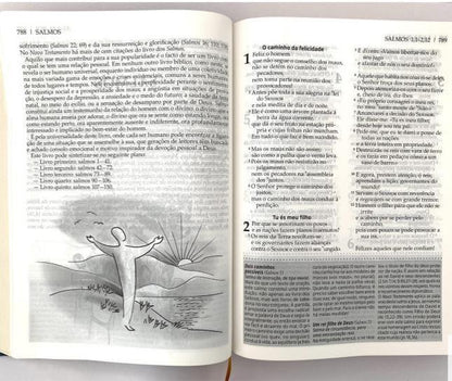 Bible Explained for Everyone (BPTc 054C)