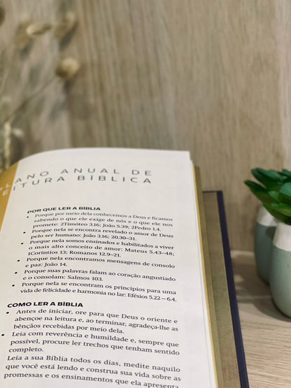 Priorize Deus 2025 | Devocionais diários para 365 dias | Michel Simplicio