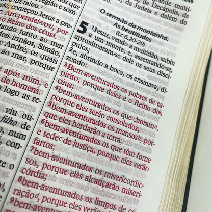 Bíblia Grande Harpa Cristã Popular Letra Gigante Floral Aquarela