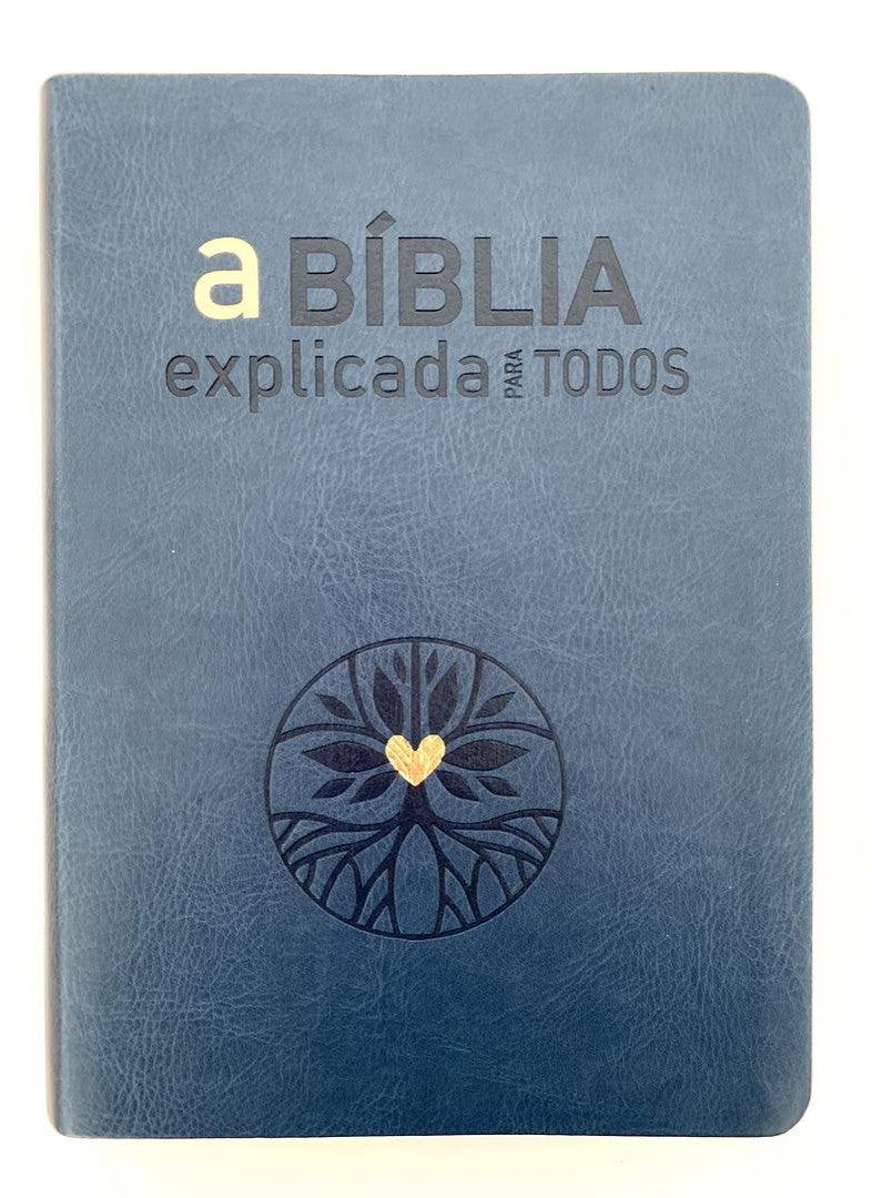 Bible Explained for Everyone (BPTc 054C)