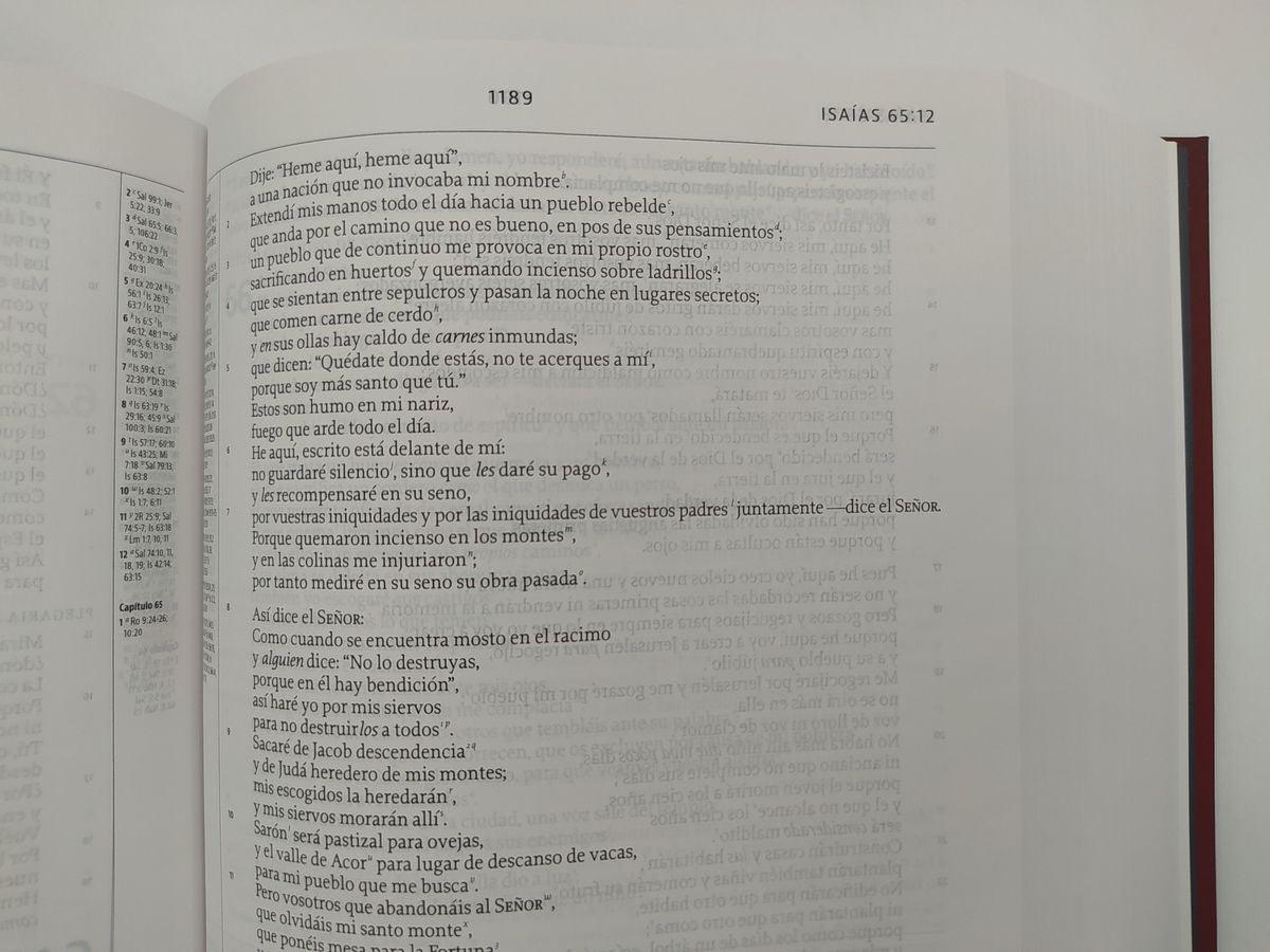 La Biblia de Estudio de La Reforma, Spanish Edition