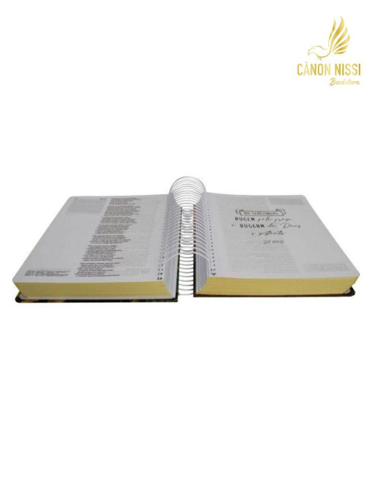 Holy Bible Journey | Lion (NA083JR)