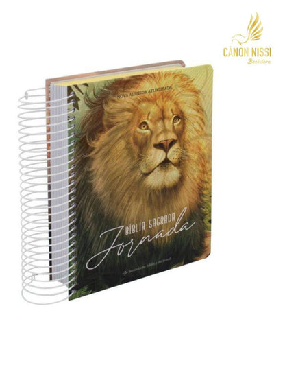 Holy Bible Journey | Lion (NA083JR)