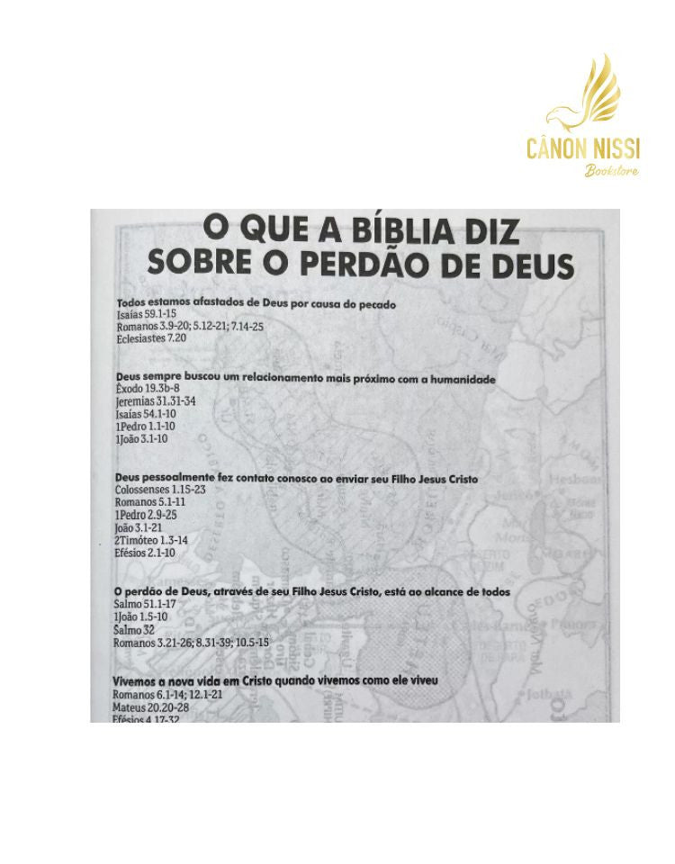 Bíblia Sagrada Infantil NTLH Capa Dura Leão de Judá