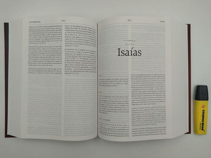 La Biblia de Estudio de La Reforma, Spanish Edition