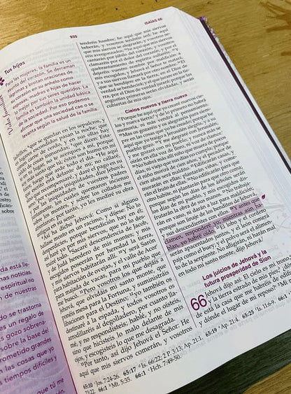 The Bible for Women According to God's Own Heart (Spanish)