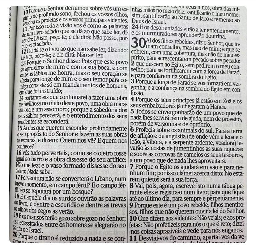 ARC Bible Jumbo Letter With Revived Harp and Choruses - Luxury Pink Cover