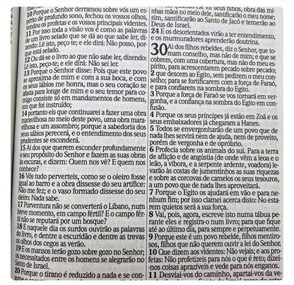 ARC Bible Jumbo Letter With Revived Harp and Choruses - Luxury Pink Cover