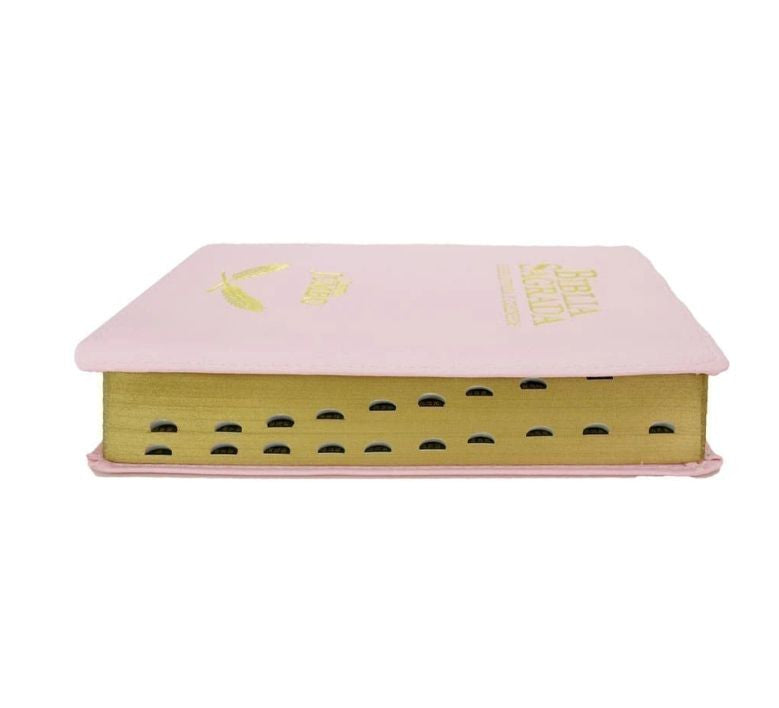 ARC Bible Jumbo Letter With Revived Harp and Choruses - Luxury Pink Cover