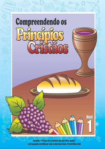 COMPREENDENDO OS PRINCÍPIOS CRISTÃOS - MÓDULO 9