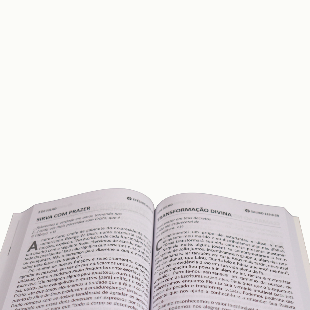 PAO DIARIO 365 DEVOCIONAIS