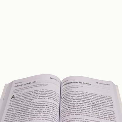 PAO DIARIO 365 DEVOCIONAIS