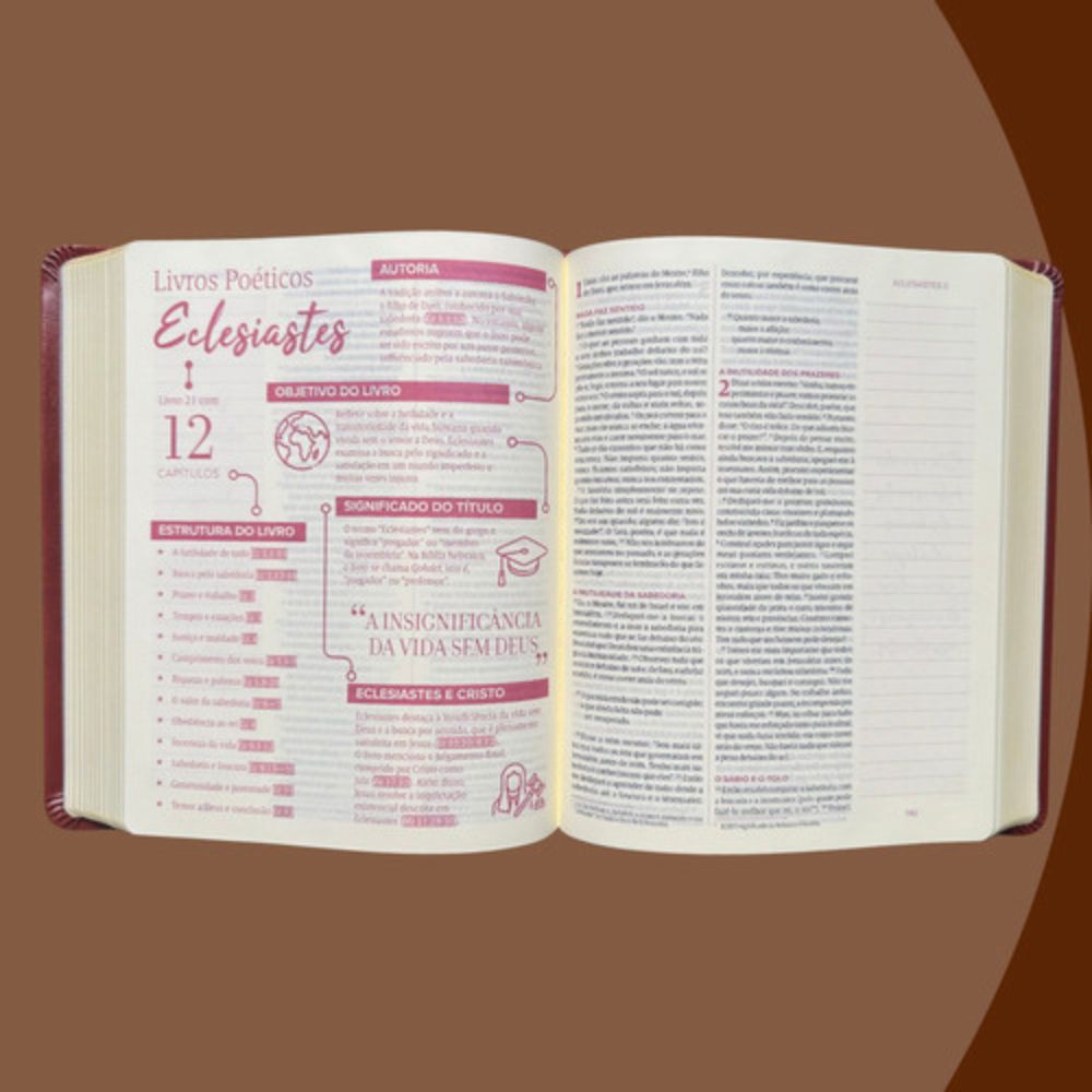 BIBLÍA MULHERES PARA UM TEMPO COMO ESTE - NAA