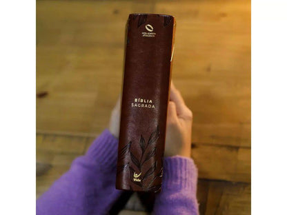 BIBLÍA MULHERES PARA UM TEMPO COMO ESTE - NAA