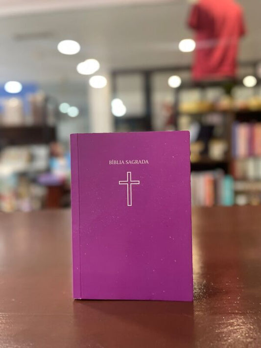 BÍBLIA SAGRADA ROSA