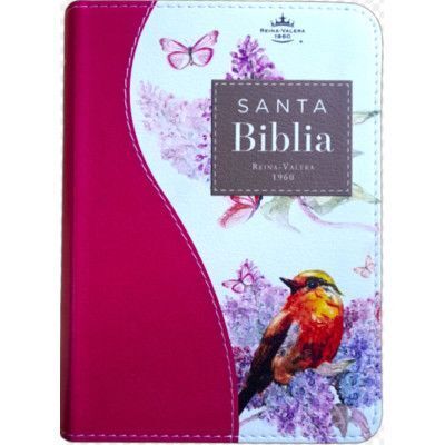 SANTA BIBLIA