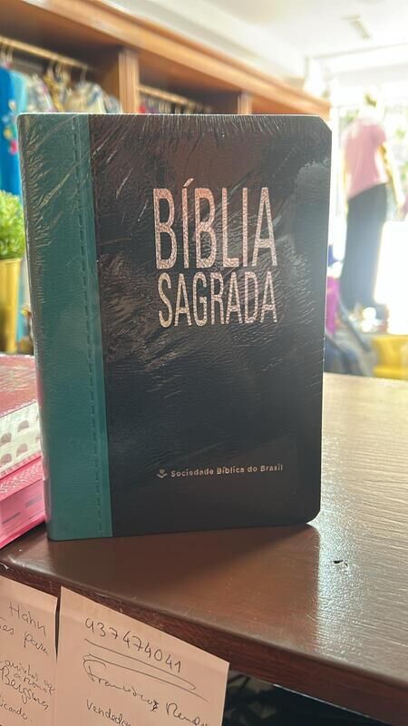 BIBLIA SAGRADA AZUL/AZUL TURQUESA