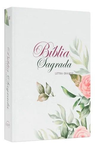 BÍBLIA SAGRADA - NVI - LETRA GRANDE