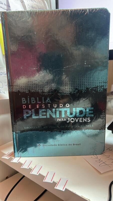 BIBLIA DE ESTUDO PLENITUDE - PARA JOVENS