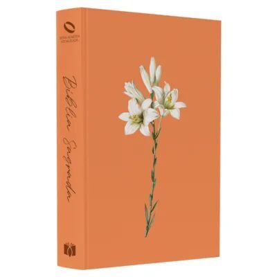 BÍBLIA SAGRADA  LIRIOS - ATUALIZADA